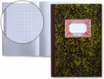 Capa Liderpapel Paper Coat 4 Aneis 25 Mm Forro Pvc Folio Verde