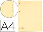 Separador Cartonex De Cartolina 1 A 31
